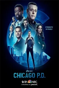 Полиция Чикаго 3 сезон (2016)