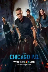 Полиция Чикаго 2 сезон (2015)